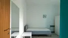 Room for rent, Bologna, Emilia-Romagna, Viale Giuseppe Barilli Quirico Filopanti