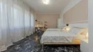 Room for rent, Padua, Veneto, &lt;span class=&quot;blurred street&quot; onclick=&quot;ProcessAdRequest(14375921)&quot;&gt;&lt;span class=&quot;hint&quot;&gt;See streetname&lt;/span&gt;[xxxxxxxxxxxxx]&lt;/span&gt;