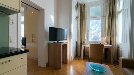 Apartments in Vienna Josefstadt - photo 4