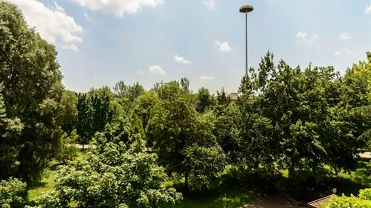 Rooms in Milano Zona 8 - Fiera, Gallaratese, Quarto Oggiaro - photo 10