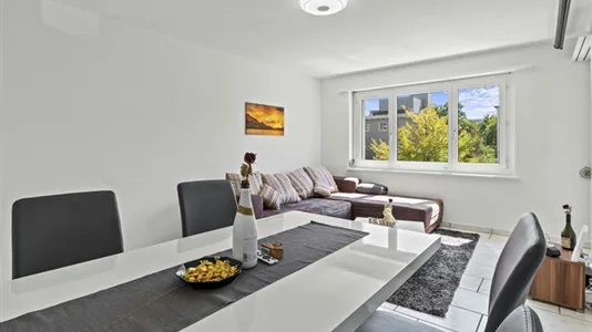 Rooms in Winterthur - photo 5