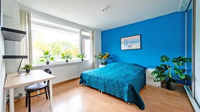 Room for rent in Rotterdam