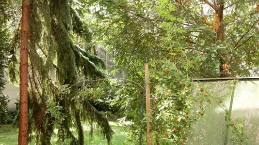 Apartments in Vienna Leopoldstadt - photo 6