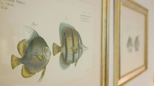 Apartments in Vienna Alsergrund - photo 8