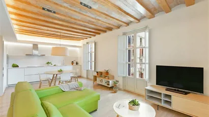 Apartment for rent in Barcelona Ciutat Vella, Barcelona