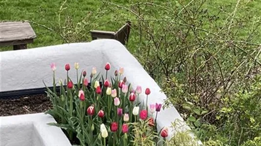 Houses in Haninge - photo 9