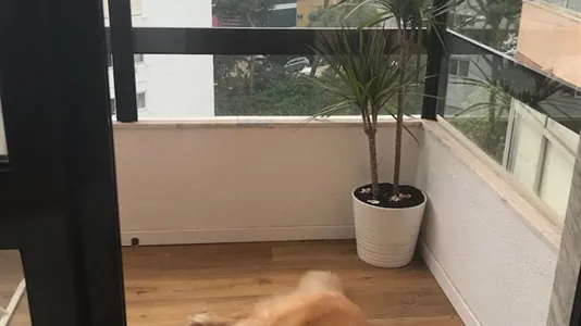 Apartments in Cascais - photo 8