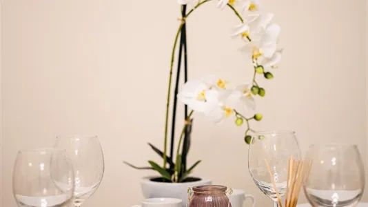 Apartments in Budapest Terézváros - photo 7