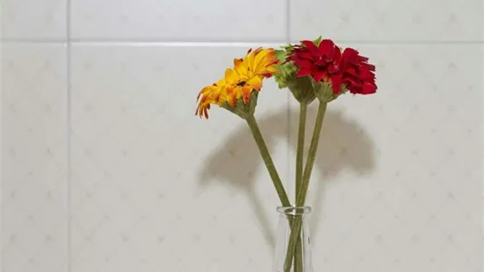 Rooms in Milano Zona 1 - Centro storico - photo 8