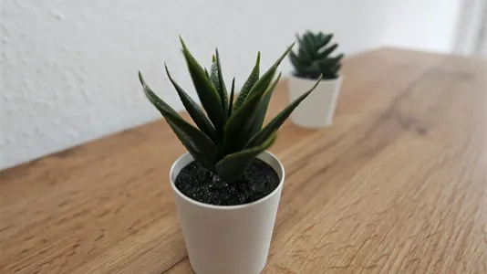 Apartments in Karlsruhe - photo 7