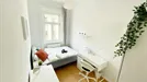 Room for rent, Wien Währing, Vienna, Gentzgasse