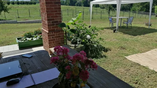 Rooms in Mondovì - photo 8