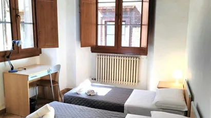 Room for rent in Siena, Toscana