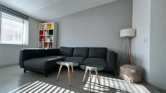 Apartments in Roma Municipio VII – Appio-Latino/Tuscolano/Cinecittà - photo 3