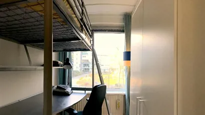 Room for rent in Rotterdam