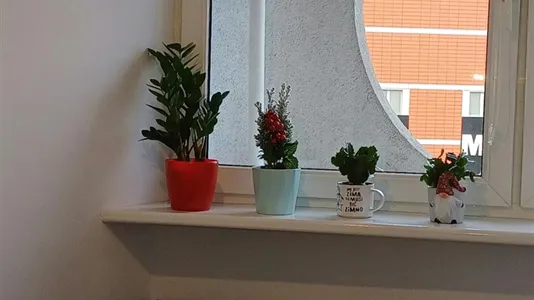 Rooms in Wrocław - photo 3