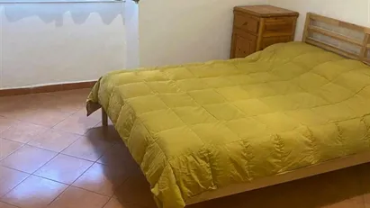 Apartment for rent in Florence, Toscana
