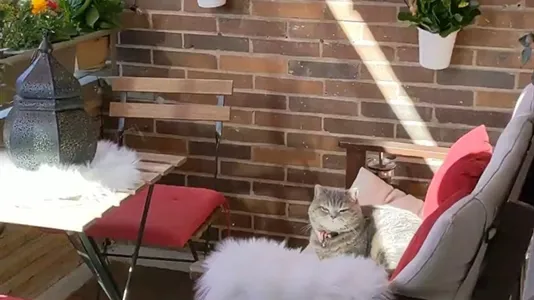 Apartments in Location is not specified - photo 6