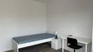 Room for rent, Porto (Distrito), Rua do Alto da Bela