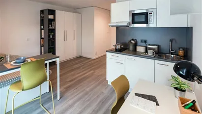 Apartment for rent in Frankfurt (region)