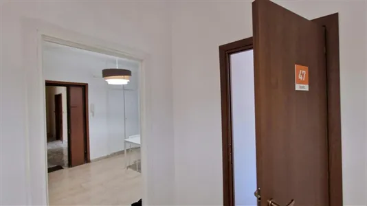 Rooms in Roma Municipio VIII – Appia Antica - photo 7