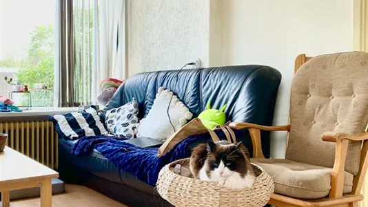 Rooms in Location is not specified - photo 8