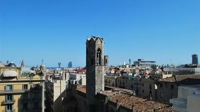 Apartment for rent in Barcelona Ciutat Vella, Barcelona