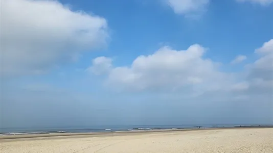 Houses in Westland - photo 7