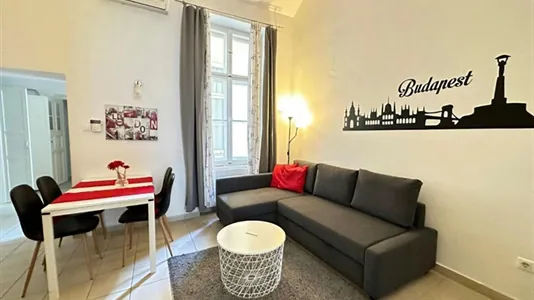 Apartments in Budapest Ferencváros - photo 8