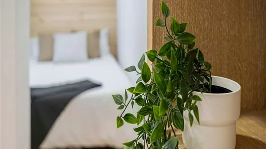 Rooms in Madrid Centro - photo 3