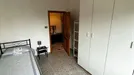 Room for rent, Bologna, Emilia-Romagna, Via Filippo Beroaldo