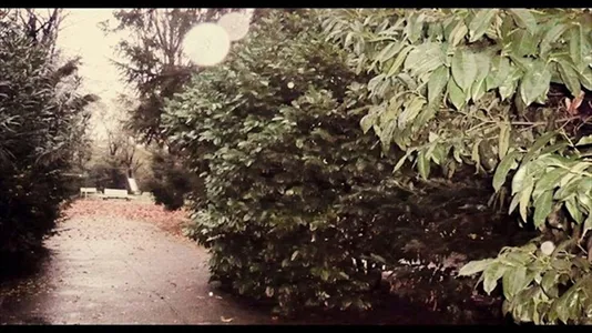 Rooms in Milano Zona 5 - Vigentino, Chiaravalle, Gratosoglio - photo 5