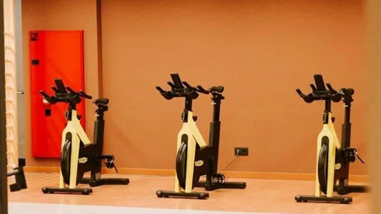 Apartments in Astigarraga - photo 7