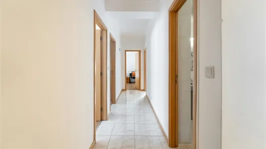 Rooms in Braga - photo 10