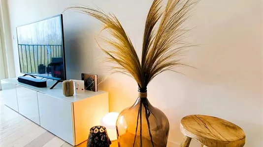 Apartments in Brugge - photo 7