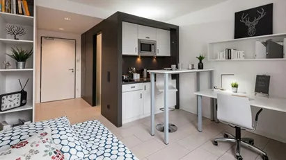 Apartment for rent in Frankfurt (region)