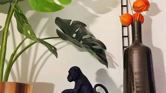 Apartments in Milano Zona 6 - Barona, Lorenteggio - photo 4