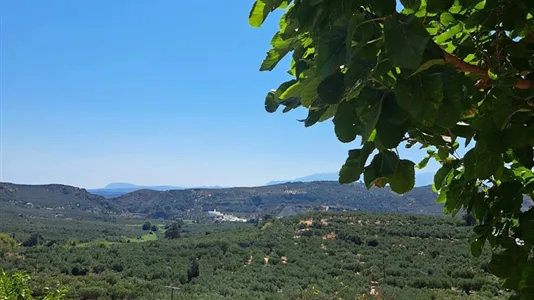 Houses in Chania - photo 7