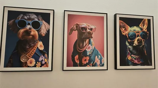 Rooms in Barcelona Eixample - photo 9