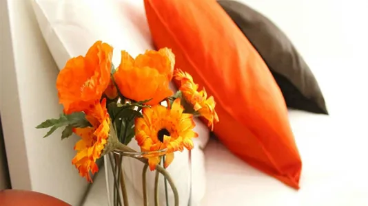 Rooms in Milano Zona 5 - Vigentino, Chiaravalle, Gratosoglio - photo 5