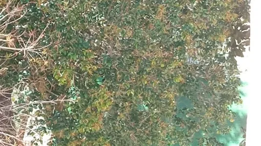 Rooms in Location is not specified - photo 7