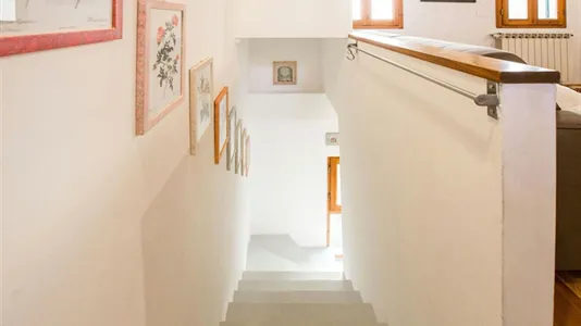 Apartments in Florence - photo 9