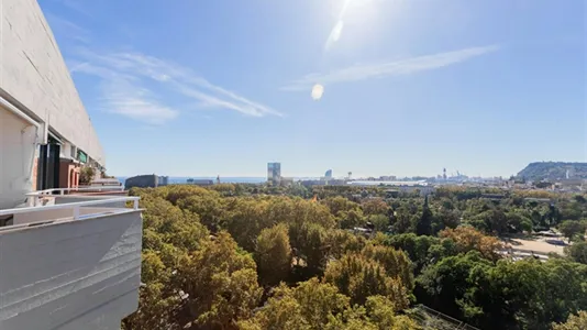 Apartments in Barcelona Sant Martí - photo 6