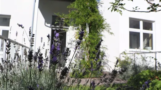 Apartments in Vienna Margareten - photo 8