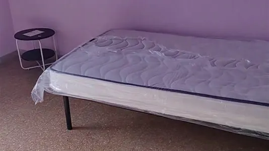 Rooms in Pisa - photo 5