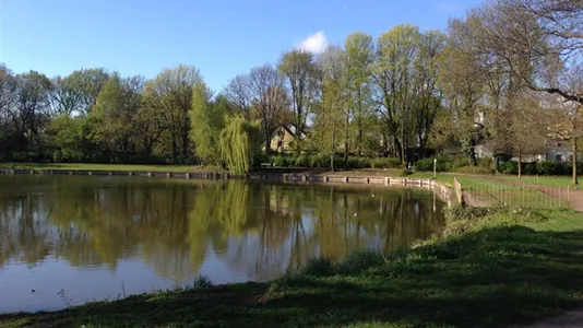 Rooms in Berlin Pankow - photo 4