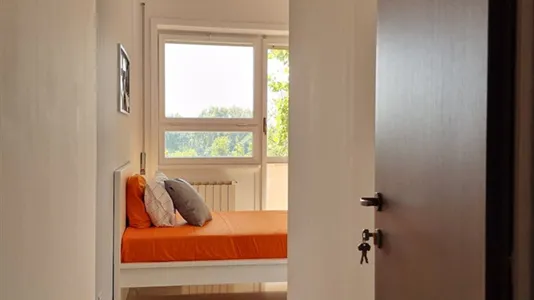 Rooms in Roma Municipio VIII – Appia Antica - photo 6