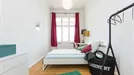 Room for rent, Berlin Pankow, Berlin, Prenzlauer Promenade