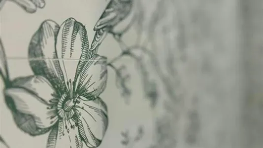 Rooms in Vigo - photo 9