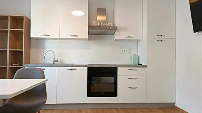 Apartment for rent in Besnica, Osrednjeslovenska
